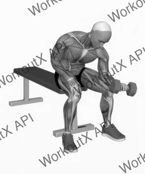 Dumbbell One Arm Reverse Wrist Curl exercise demonstration