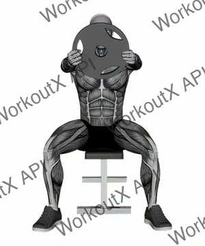 Seated Plate Front Raises exercise demonstration