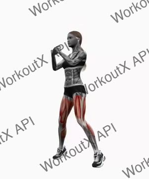 In and Out Squats Jump Bodyweight (2) exercise demonstration