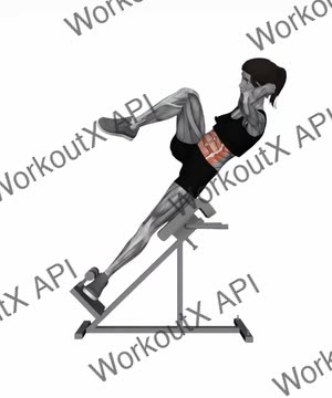 45 Degree Bicycle Twisting Crunch exercise demonstration
