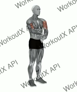 Single Arm Extended Pull Downwards Biceps Stretch exercise demonstration
