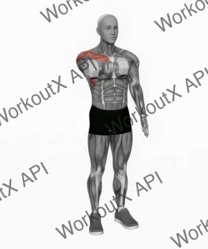 Dumbbell Single Arm Underhand Front Raise exercise demonstration