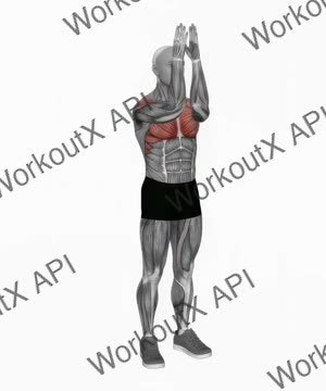 Bodyweight Standing Fly exercise demonstration