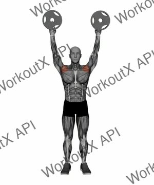 Plate Full Front Raise exercise demonstration