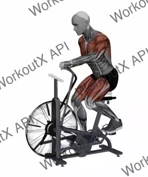 Assault Airbike Normal Speed exercise demonstration