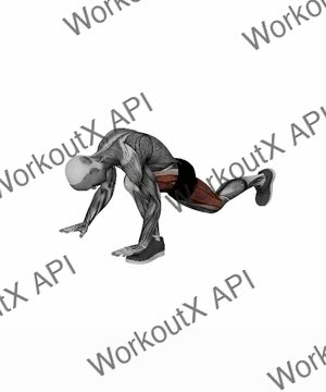 Runners Lunge exercise demonstration