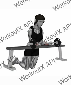 Barbell Palm Down Wrist Curl Over a Bench exercise demonstration