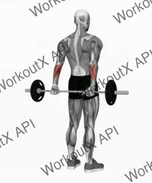 Barbell Standing Back Wrist Curl exercise demonstration