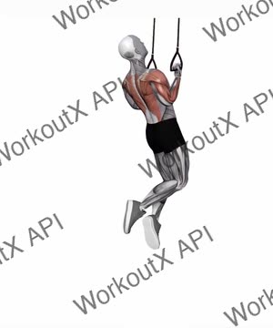 Suspension Trainer With Grips Chin-Up exercise demonstration