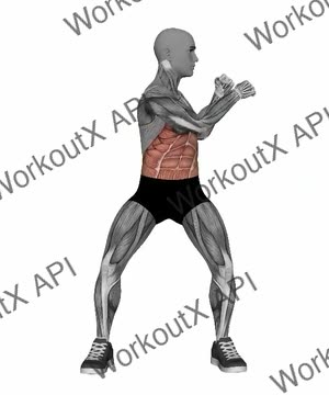Side to Side Punch exercise demonstration