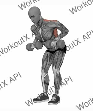 Dumbbells Bent Over Row Pronated Grip exercise demonstration