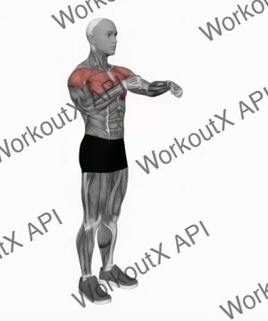 Alternate Punching exercise demonstration
