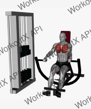 Machine Chest Press Decline exercise demonstration