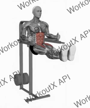Leg Raises (Straight Legs) exercise demonstration