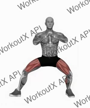 Cossack Squat exercise demonstration