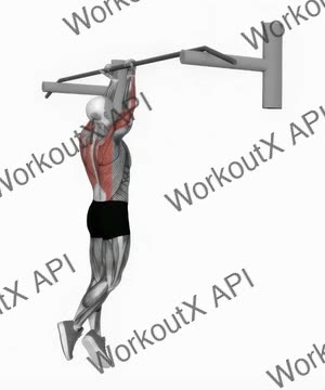 Close-Reverse Grip Chin-Up exercise demonstration