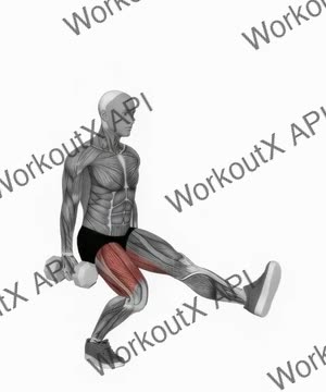 Dumbbell Single Leg Squat exercise demonstration