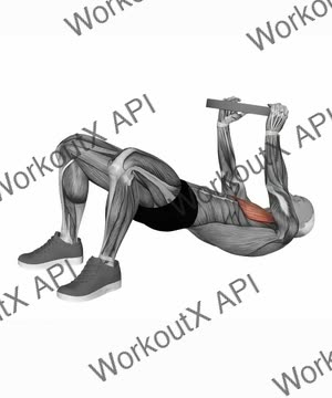 Plate Glute Bridge to Chest Press exercise demonstration