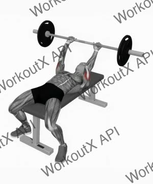 Barbell Lying Triceps Skull Crushers exercise demonstration