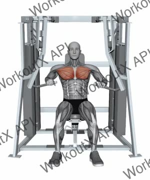 Hammer Strength Mts Iso-Lateral Decline Press Single Arm exercise demonstration
