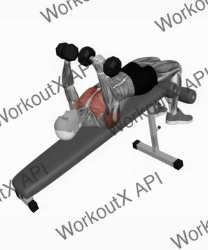 Dumbbell Decline Bench Press exercise demonstration