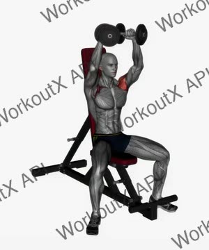 Arnold Press Dumbbell exercise demonstration