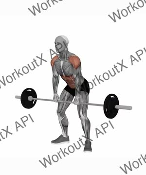 Barbell Hang Clean exercise demonstration
