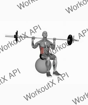 Barbell Seated Twist on Exercise Ball exercise demonstration