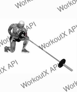 Landmine Concentration Curl exercise demonstration