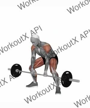Barbell Deadlift High Pull exercise demonstration