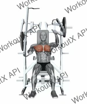 Hammer Strength Plate-Loaded Combination Iso-Lateral Chest - Chest Press_Single Arm exercise demonstration