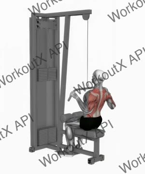 Cable Bar Lateral Pulldown exercise demonstration