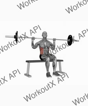 Barbell Seated Twist exercise demonstration