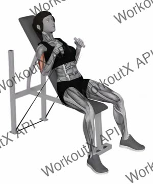 Band Incline Hammer Curl exercise demonstration