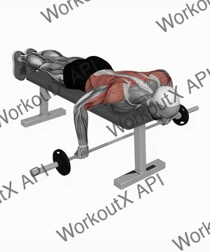 Barbell Lying Row exercise demonstration