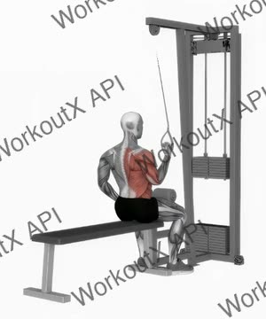 Cable One Arm Lat Pulldown exercise demonstration