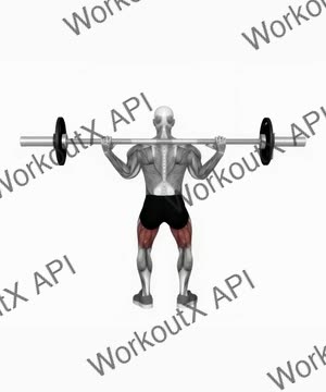 Barbell Squat Back Pov exercise demonstration