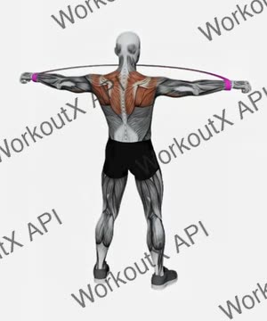 Resistance Band Pull Apart exercise demonstration
