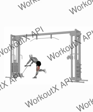 Cable Single Leg Deadlift exercise demonstration