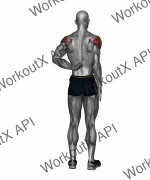 Reaching Up Shoulder Stretch exercise demonstration