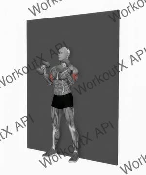 Dumbbell Hammer Strict Curl exercise demonstration