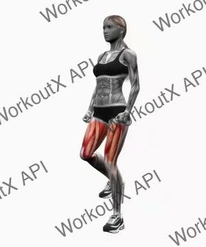 Lunge to Knee Drive Right Bodyweight exercise demonstration