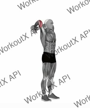 Kettlebell Standing Tricep Extension exercise demonstration