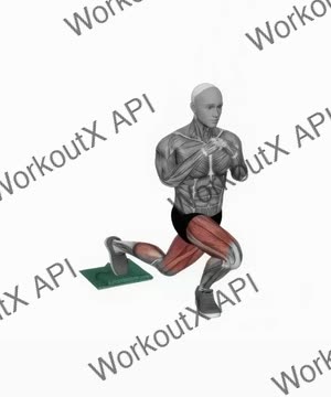 Curtsy Lunge Slide With Towel exercise demonstration
