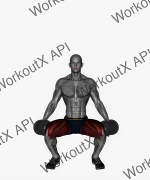 Front Squats Dumbbell Low exercise demonstration