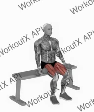 Dumbbell Bench Squat exercise demonstration