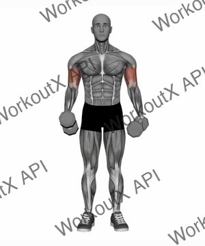 Alternate Hammer Curl Standing Dumbbells exercise demonstration