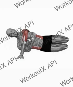 Side Push Up exercise demonstration