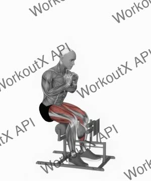 Dumbbell Supported Sissy Squat exercise demonstration