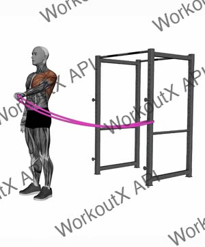 Resistance Band Standing Single Arm Shoulder Flexion exercise demonstration